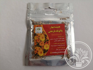 بذر گل همیشه بهار نارنجی پاکوتاه