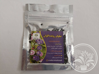 بذر گل نیلوفر رونده الوان